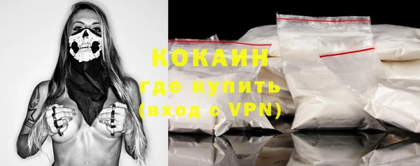 кокс Алексин
