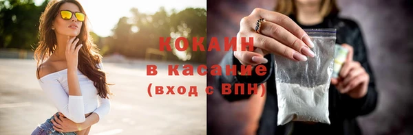 кокс Алексин