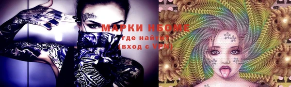 прущие грибы Алексеевка