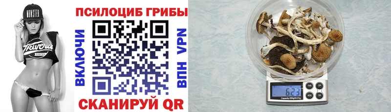 Галлюциногенные грибы Cubensis Когалым